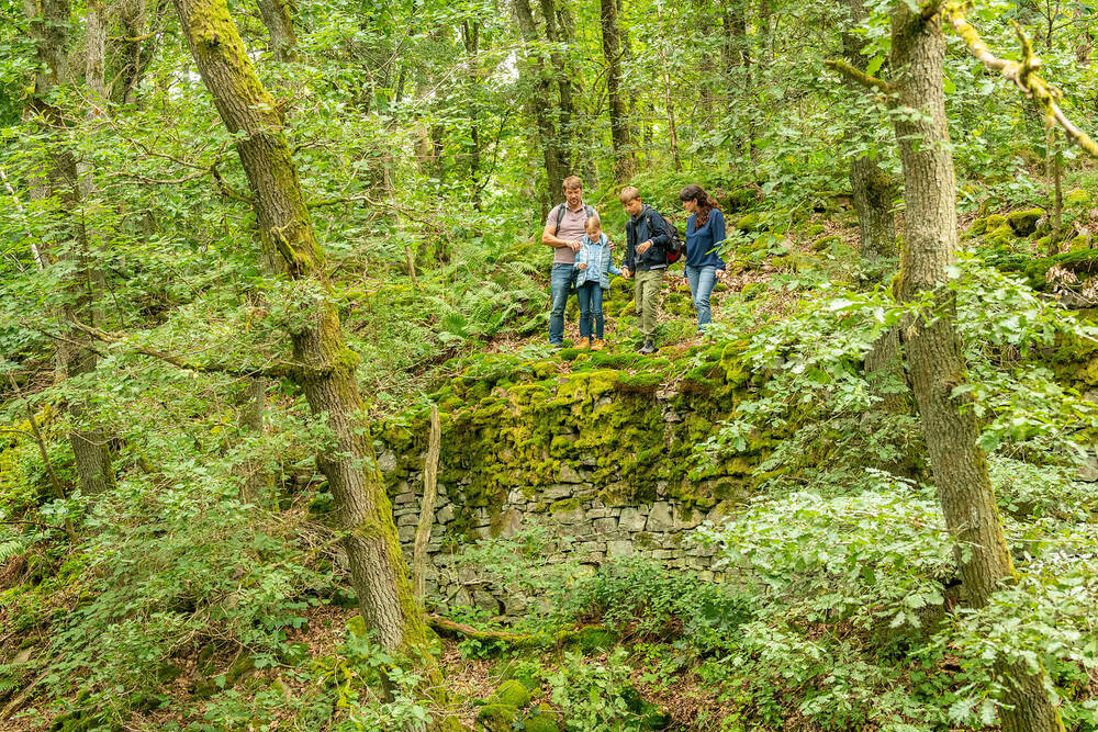 Wandern im Naturpark