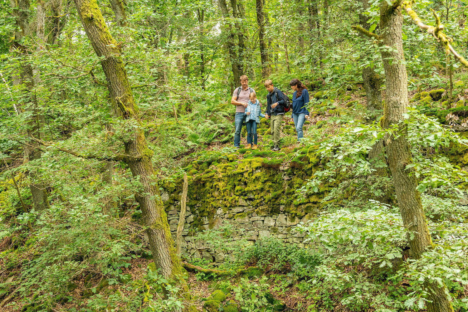 Wandern Koppenstein TS Heimat