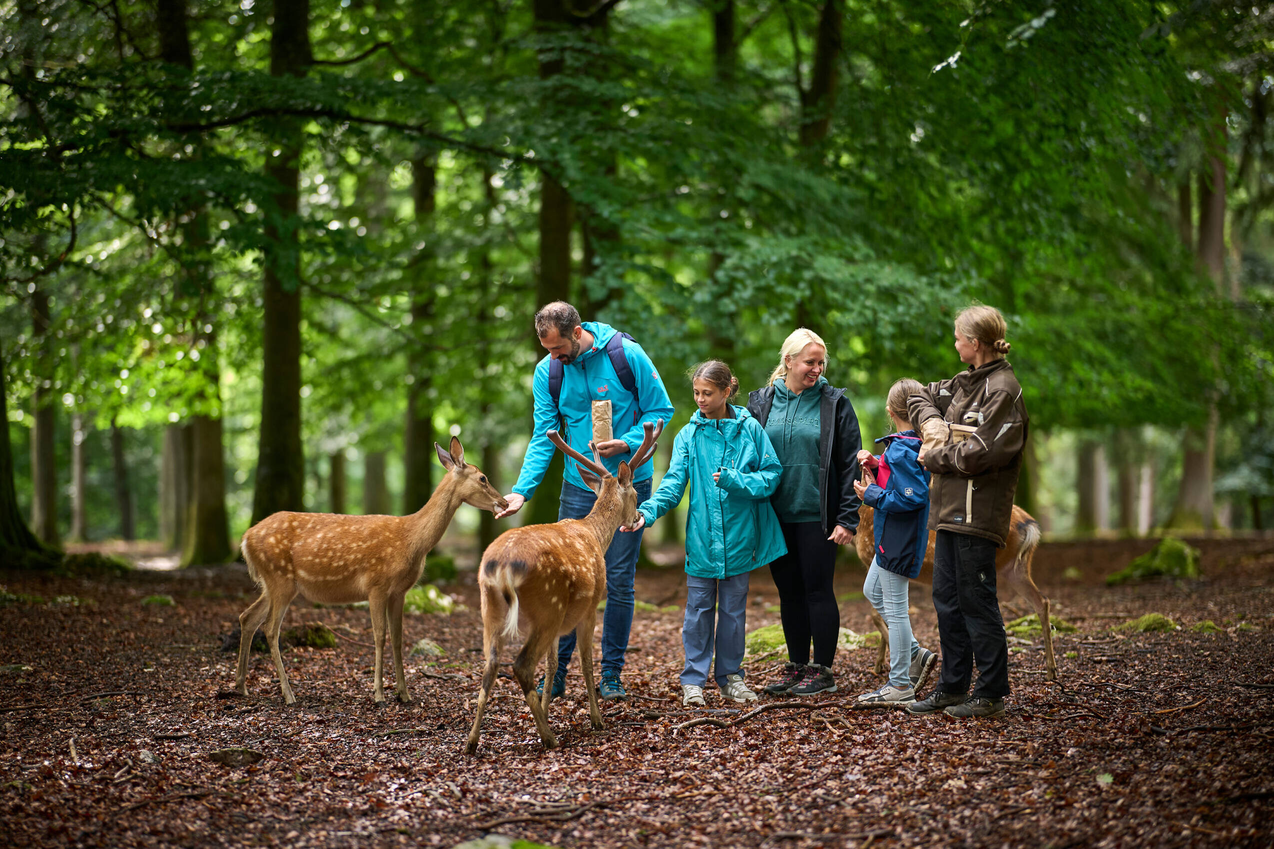 Wanderregion Saar Hunsrueck Kappest 33