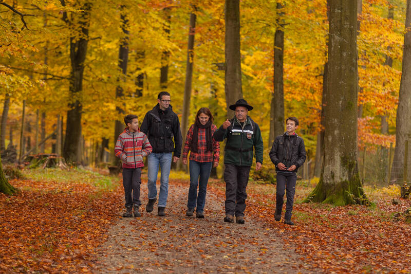 Ranger NLP Hunsrück Hochwald