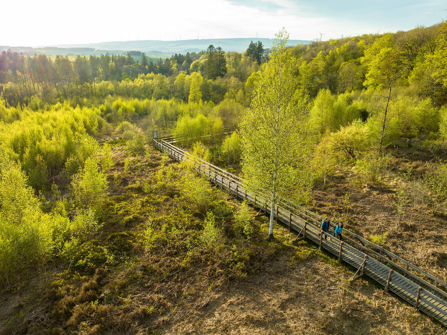 Saar Hunsrück Steig
