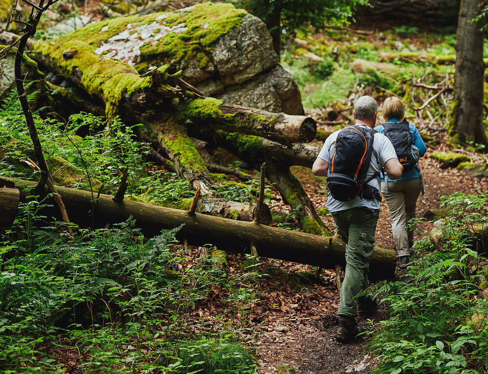 Wandern in der Nationalpark-Region