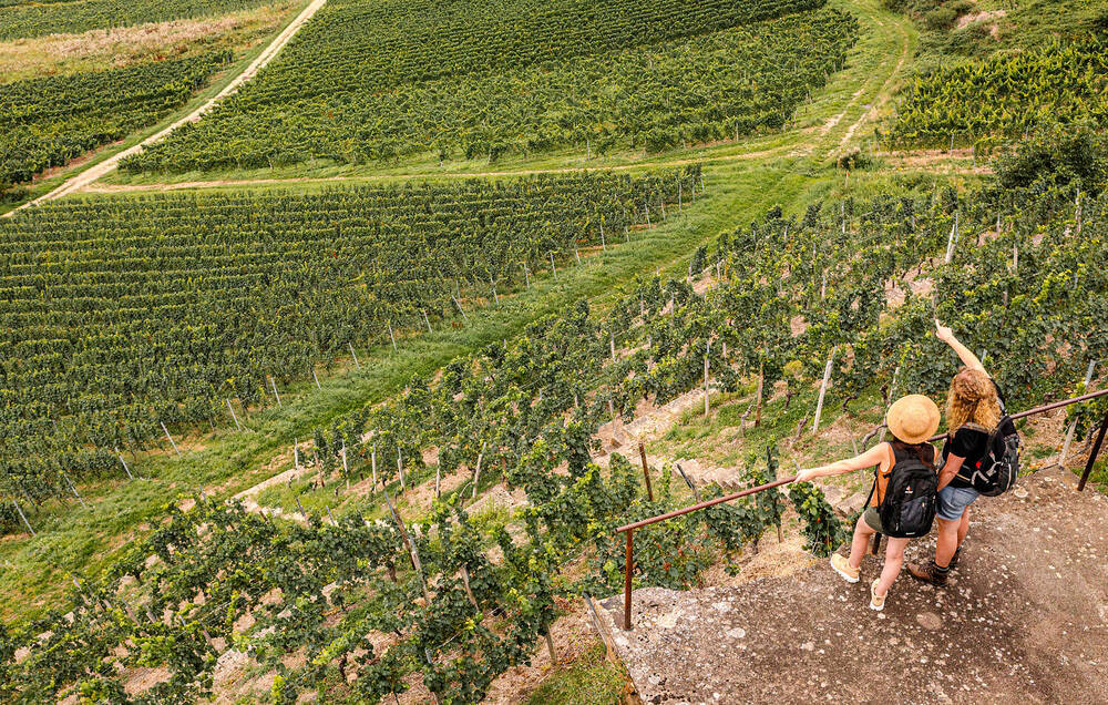 Wanderreisen Weinwanderweg