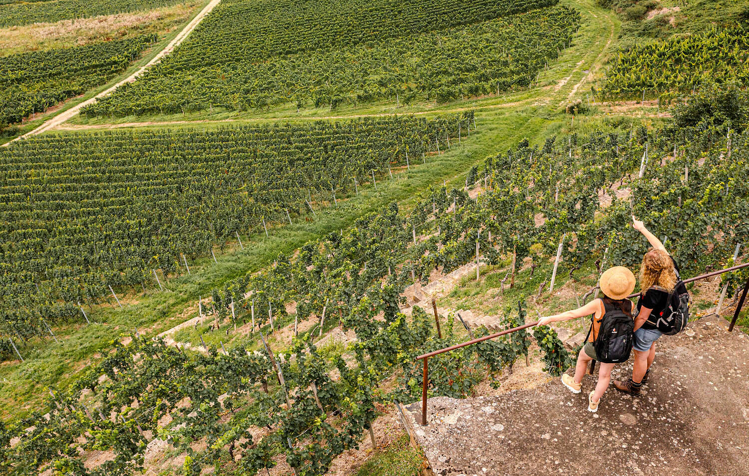 Wanderreisen WeinWanderWeg (1)