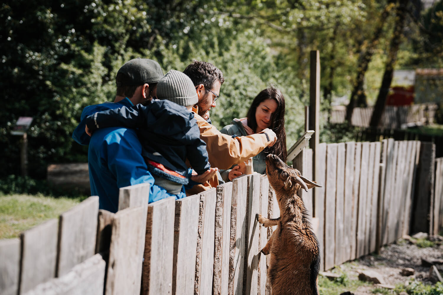 Wildfreigehege Wildenburg event