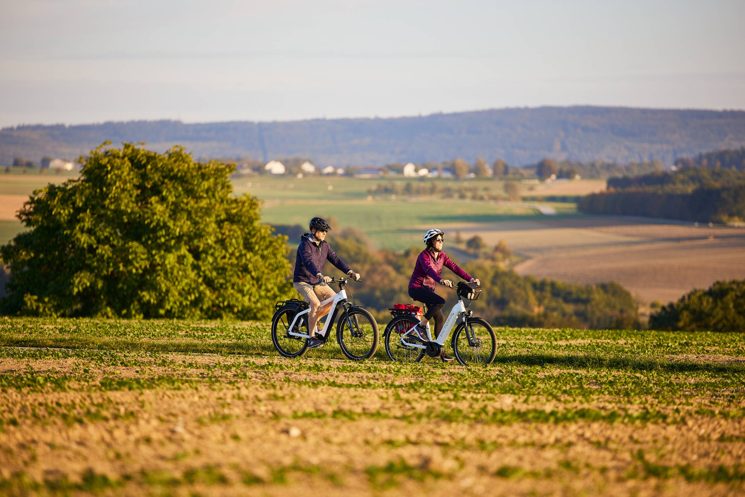 Angebote Radfahren Dommer