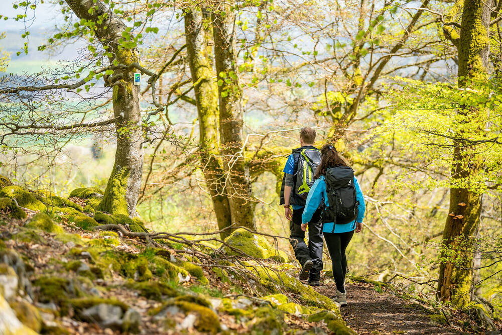 Übernachten am Saar-Hunsrück-Steig