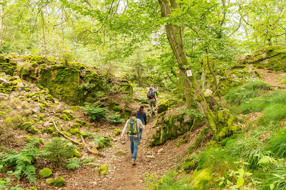 Soonwaldsteig
