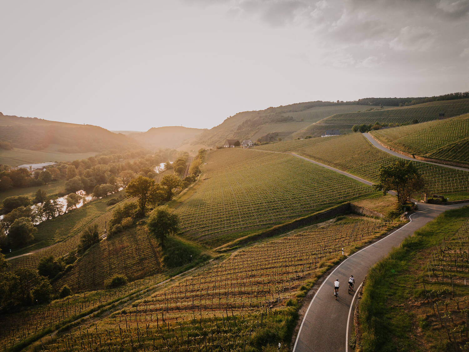 Durch die Weinberge bei Niederhausen