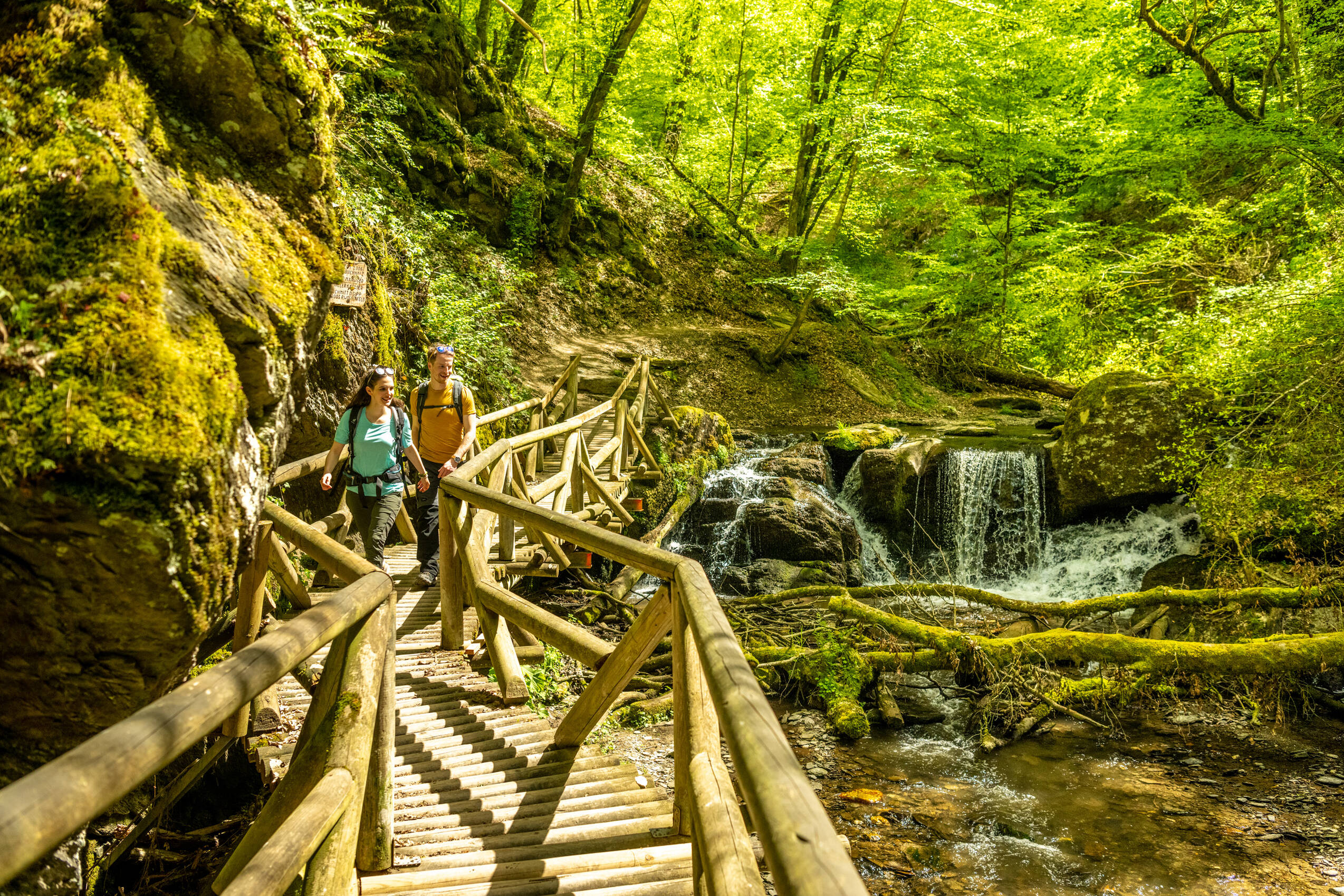 Saar Hunsrück Steig 2023 427 Ehrbachklamm