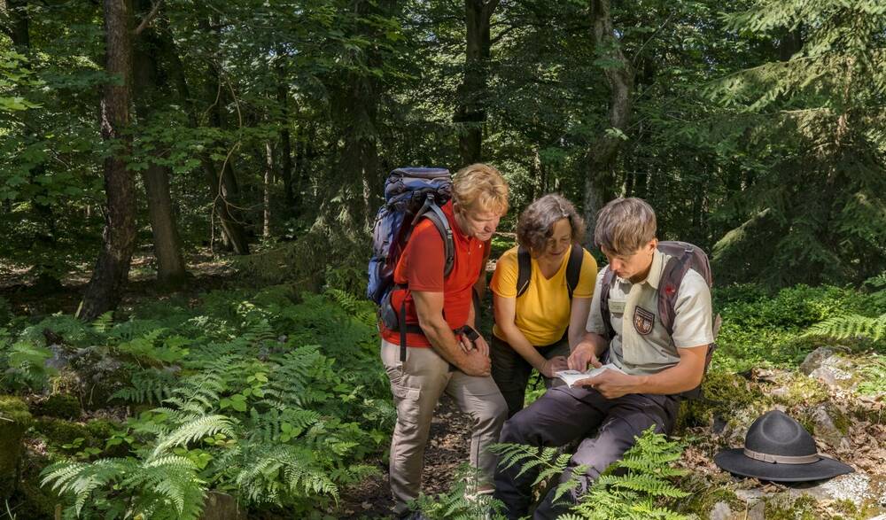 Rangertouren und Führungen