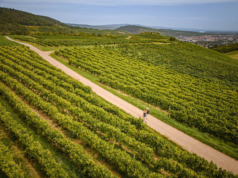 Weinwanderweg Rhein-Nahe