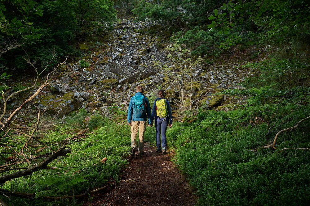 Wandern im Schatten